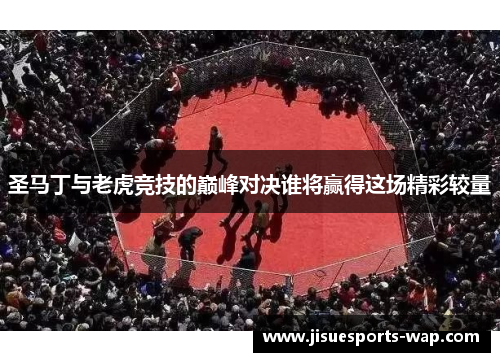 圣马丁与老虎竞技的巅峰对决谁将赢得这场精彩较量